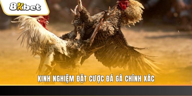 fun88 viet casino TỶ LỆ BÓNG ĐÁ